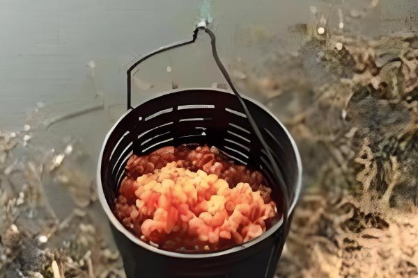 冬天能不能钓青鱼，可以垂钓但难度较大