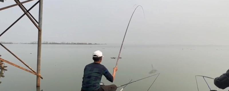 台钓的简介，是指台湾钓鱼技法