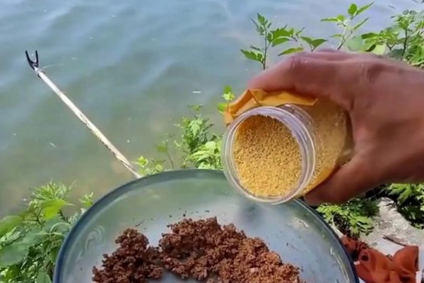 用蚯蚓钓鱼怎样上鱼快，一定要提前打好窝子