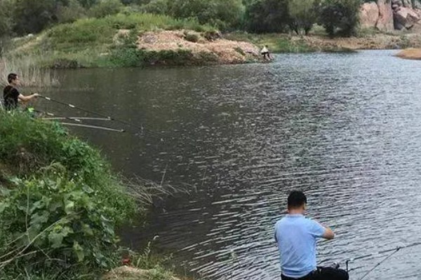 春季适合钓鱼的气压，以990-1005百帕为宜