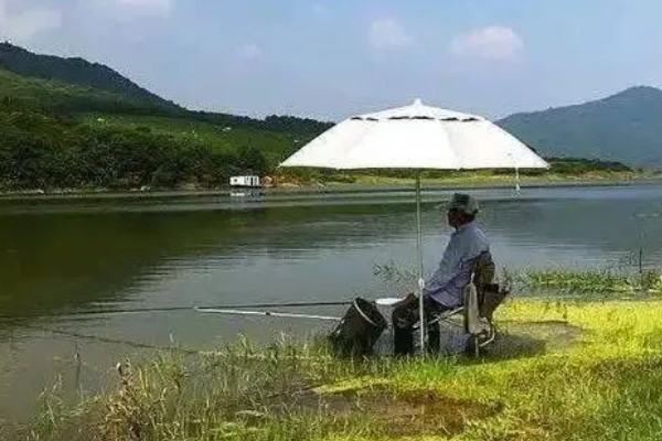 春季适合钓鱼的气压，以990-1005百帕为宜