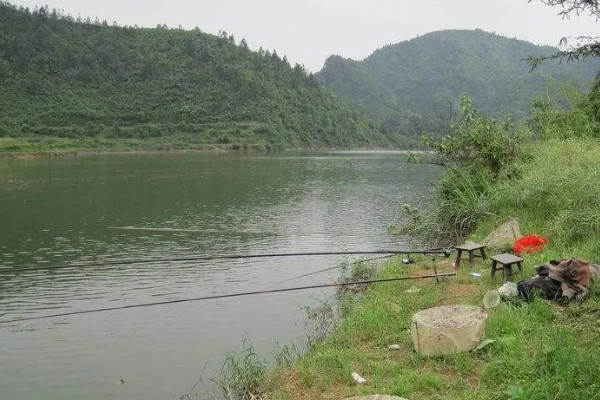春季适合钓鱼的气压，以990-1005百帕为宜