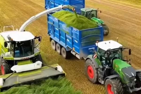 饲料育种的简介,指牧草等饲料作物的育种