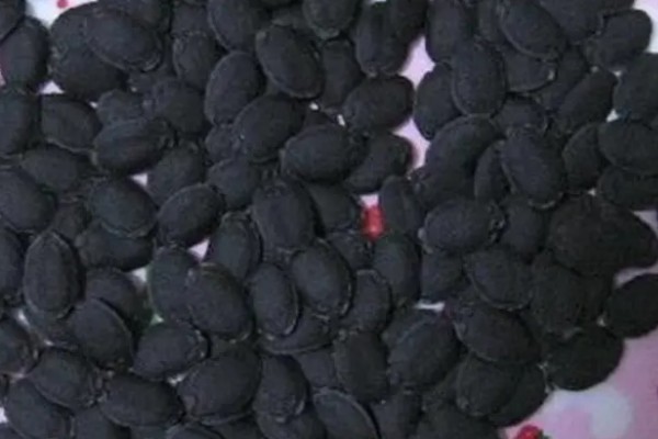 砍瓜如何种植，人工授粉可提高坐果率