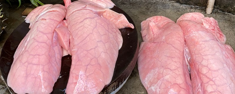 高温能不能杀死猪肺里的细菌，细菌在高温环境中会死亡