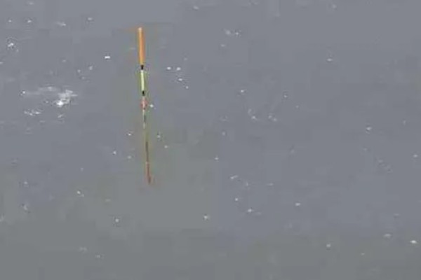 台钓的简介，是指台湾钓鱼技法