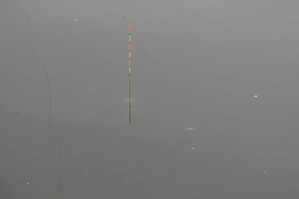 台钓的简介，是指台湾钓鱼技法