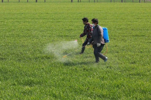 除草剂会不会破坏土质，除草剂会破坏土质