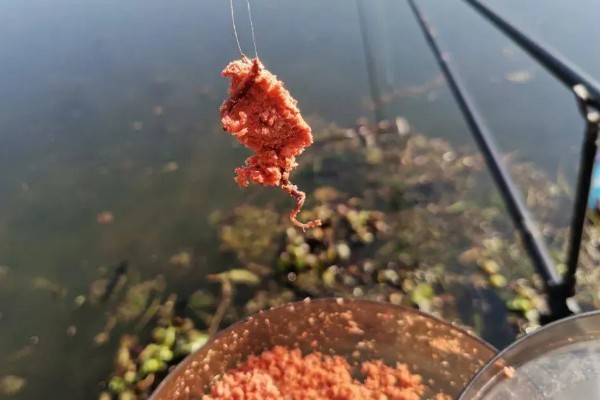 黄尾鱼吃不吃玉米，垂钓时可使用玉米粒等自然饵