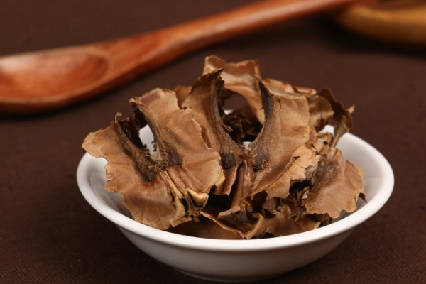 分心木是什么，是核桃种内隔膜