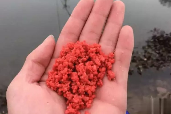 冬天钓鱼不打窝行吗，可以不打窝