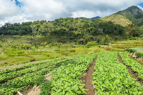 影响作物需水量的因素，主要有气象条件、土壤特性等