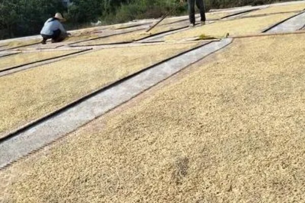 粮油店夏天如何保存大米和面粉，必须使空气流通
