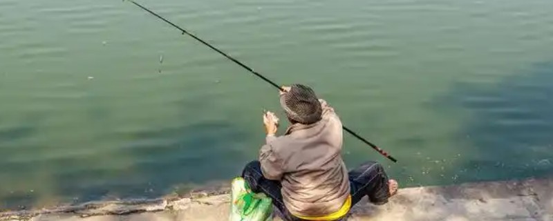 南方地区早春怎么钓鱼，在晴天上午作钓效果更佳