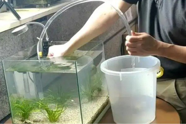 鱼缸老水呈酸性吗，产生的亚硝酸盐和硝酸盐属于酸性物质