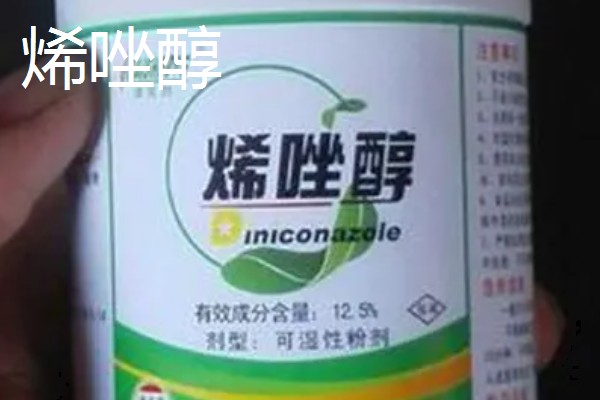 花生控旺打什么药，推荐多效唑、烯效唑等