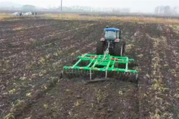 红麻有什么品种，按照生育期的长短可分为特早熟型、早熟型等种类