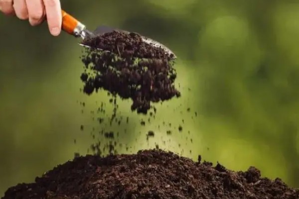 生物有机肥的作用效果，可改善作物品质