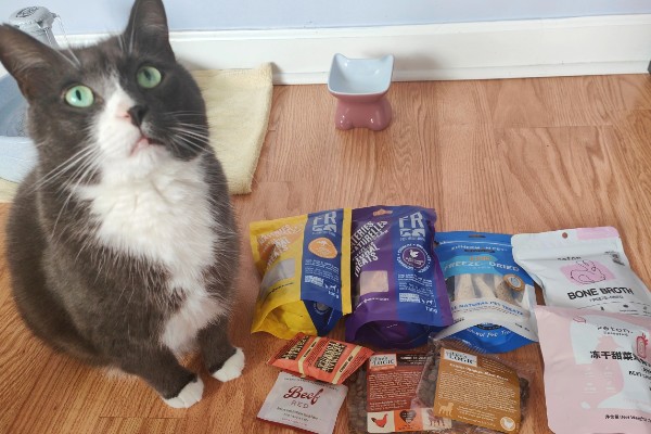 猫狗吃蔬菜的注意事项，不要喂食洋葱或者大蒜