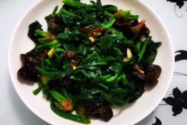 黑木耳怎么做才好吃，以下三种烹制方式可制作美食