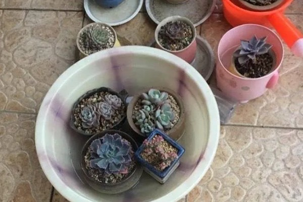 浸盆法一次浸多久，一次浸半个小时拿出