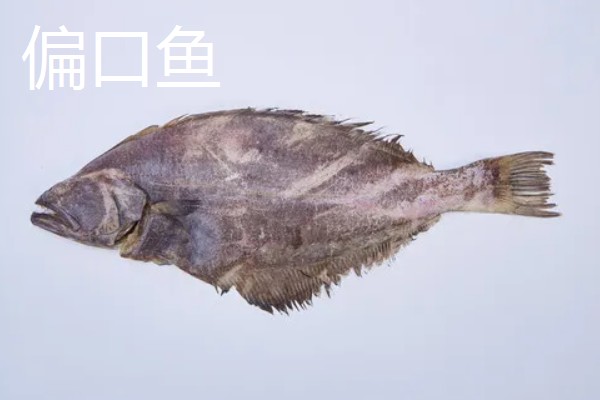 多宝鱼和偏口鱼的区别，科属、体型、眼睛位置等方面均不同