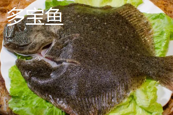 多宝鱼和偏口鱼的区别，科属、体型、眼睛位置等方面均不同