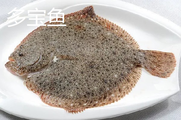 多宝鱼和偏口鱼的区别，科属、体型、眼睛位置等方面均不同