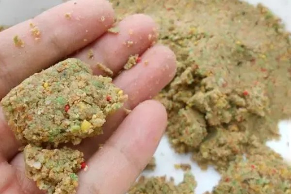 南方地区早春怎么钓鱼，在晴天上午作钓效果更佳