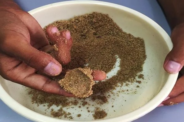 南方地区早春怎么钓鱼，在晴天上午作钓效果更佳