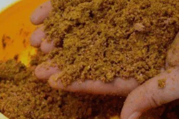 南方地区早春怎么钓鱼，在晴天上午作钓效果更佳