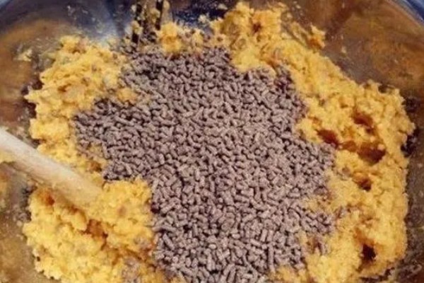 南方地区早春怎么钓鱼，在晴天上午作钓效果更佳