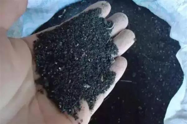 生物肥如何运用，根瘤菌肥超过48小时应重新拌种
