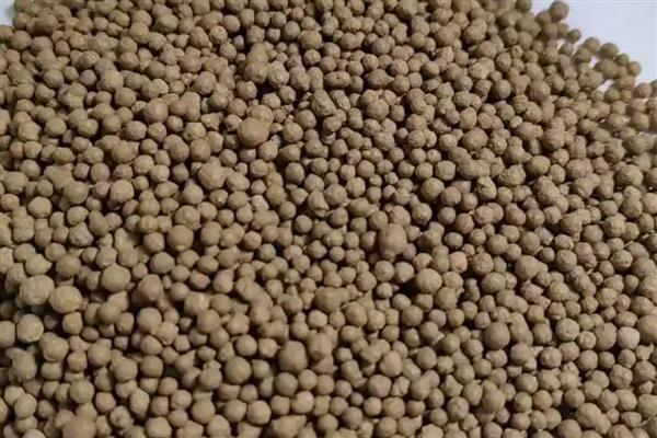 生物肥如何运用，根瘤菌肥超过48小时应重新拌种