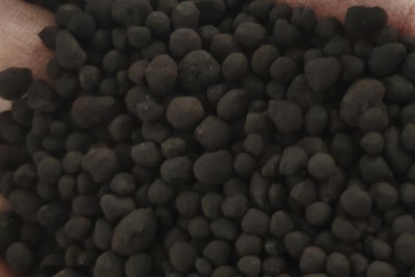 生物肥如何运用，根瘤菌肥超过48小时应重新拌种