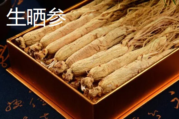 人参盆栽的存活时间，寿命大多为4年左右