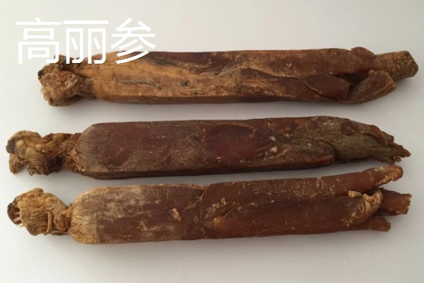 人参盆栽的存活时间，寿命大多为4年左右