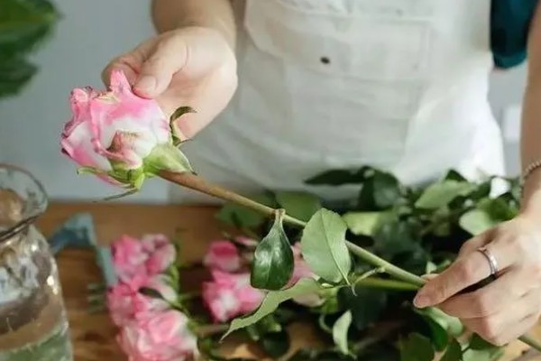 玫瑰鲜花变黑了怎么处理，可以在花瓶内放一些维生素C