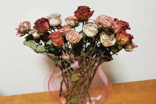 干花有没有花粉，干花没有花粉