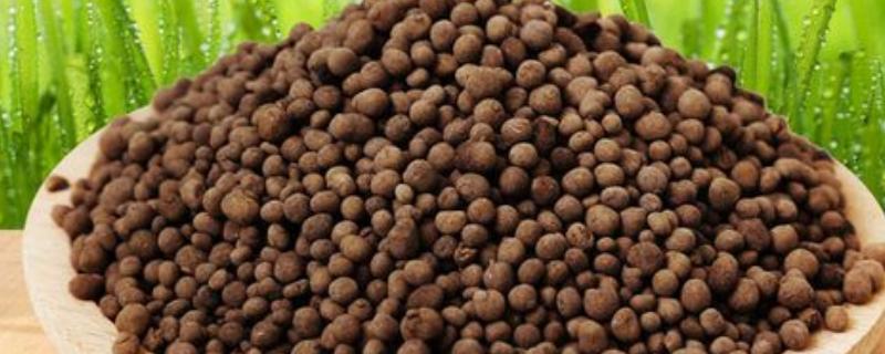 生物磷钾肥属于什么肥料，生物磷钾肥融合了磷、钾元素以及生物活性成分