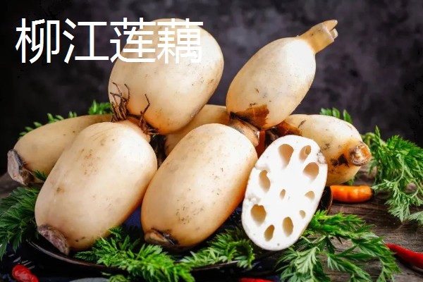 全国有什么出名的莲藕产地，蔡甸、汉川等地方产出的莲藕有很高的知名度