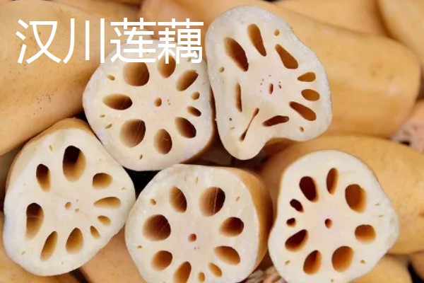 全国有什么出名的莲藕产地，蔡甸、汉川等地方产出的莲藕有很高的知名度