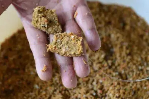 夏天钓鱼用什么饵料，推荐谷物制作的鱼饵