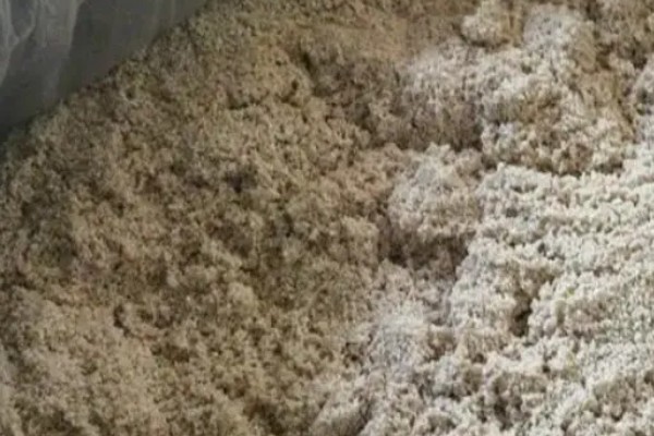 母猪吃南瓜有没有弊端，长期饲喂容易损伤器官、降低抗病能力