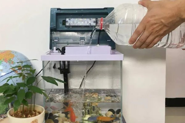 迷你鹦鹉鱼小鱼的养殖方法，要将水温保持在27℃左右