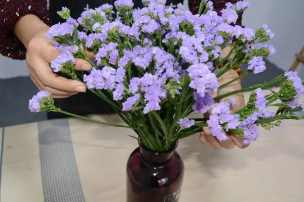 新鲜勿忘我插花要放水吗，需要放水