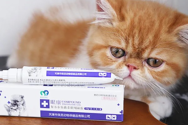 猫感冒打喷嚏如何用药，普通感冒使用普诺舒即可缓解
