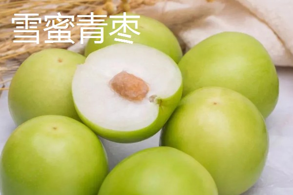 早熟水果品种，有甜樱桃火箭、晨香葡萄等