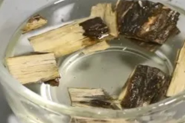 松树皮发酵养兰花的方法，先密封发酵再浸泡并用上层清液喷施土壤