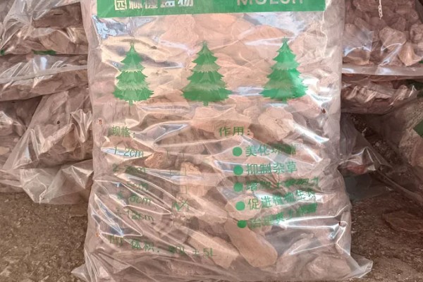 松树皮发酵养兰花的方法，先密封发酵再浸泡并用上层清液喷施土壤